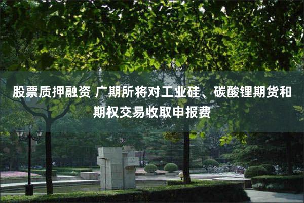 股票质押融资 广期所将对工业硅、碳酸锂期货和期权交易收取申报费