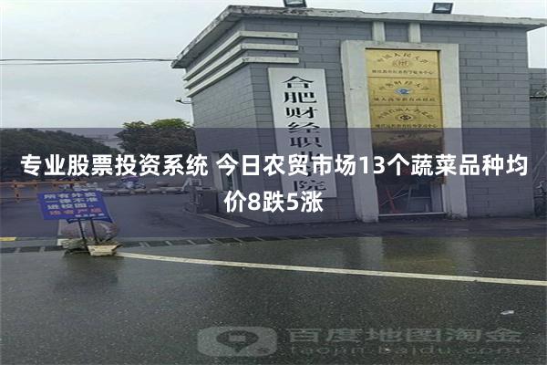 专业股票投资系统 今日农贸市场13个蔬菜品种均价8跌5涨