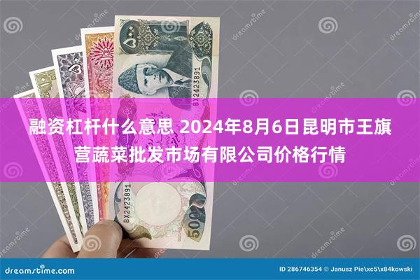 融资杠杆什么意思 2024年8月6日昆明市王旗营蔬菜批发市场有限公司价格行情