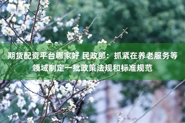 期货配资平台哪家好 民政部：抓紧在养老服务等领域制定一批政策法规和标准规范