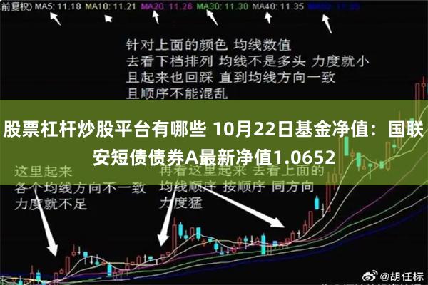 股票杠杆炒股平台有哪些 10月22日基金净值：国联安短债债券A最新净值1.0652