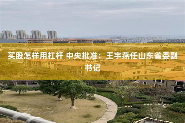 买股怎样用杠杆 中央批准：王宇燕任山东省委副书记