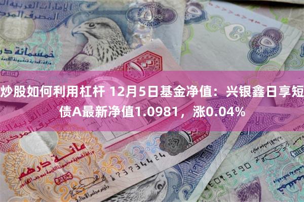 炒股如何利用杠杆 12月5日基金净值：兴银鑫日享短债A最新净值1.0981，涨0.04%