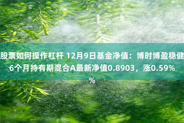 股票如何操作杠杆 12月9日基金净值：博时博盈稳健6个月持有期混合A最新净值0.8903，涨0.59%