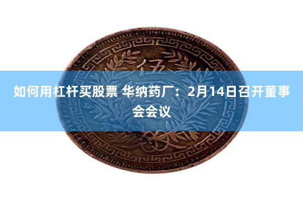 如何用杠杆买股票 华纳药厂：2月14日召开董事会会议