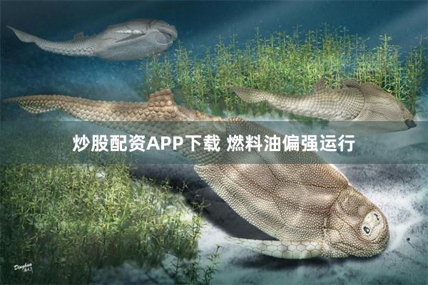 炒股配资APP下载 燃料油偏强运行